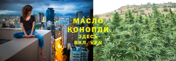 шишки Новый Уренгой