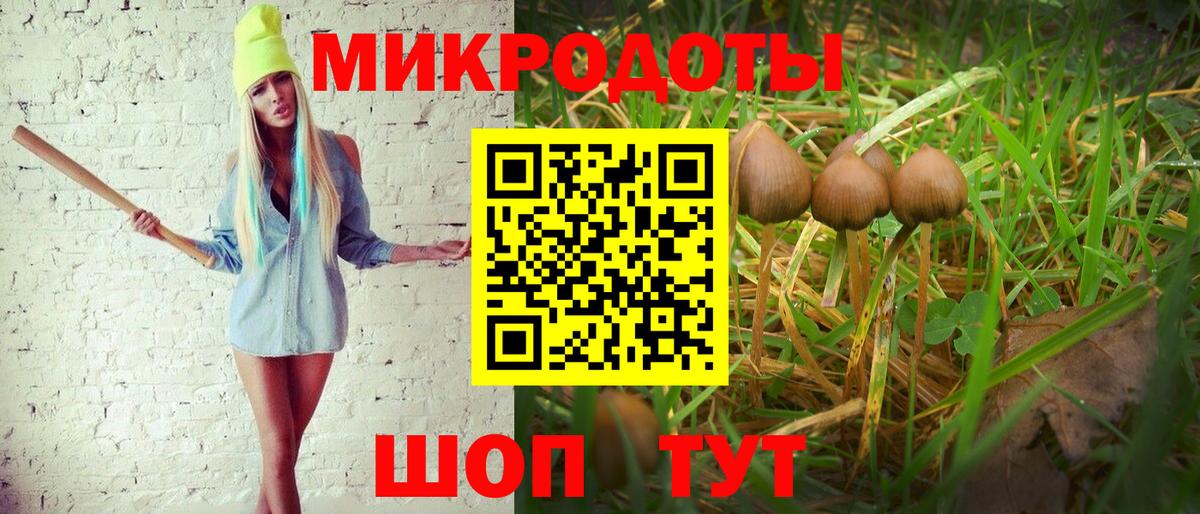 где купить   Галлюциногенные грибы прущие грибы  Краснотурьинск  Псилоцибиновые грибы Psilocybe 