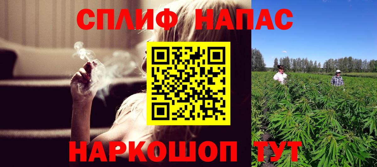 Бошки Шишки сатива  Конопля сатива  Канабис марихуана  Краснотурьинск 